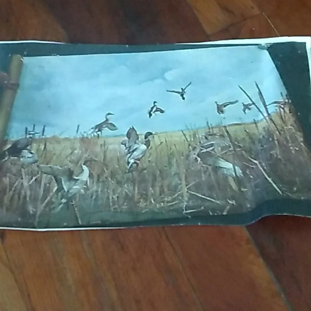 Wall MURAL WILDLIFE WISC VINTAGE MURAL Water Fowl 🦌 RARE WALL HUGE EVC 3' X 5'